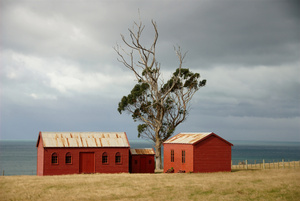 Progress Waikouaiti